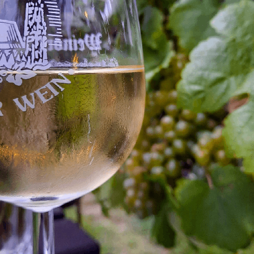On peut déguster un verre de vin au cœur des vignes à Vienne.